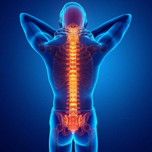  Spine Related Symptoms near South America